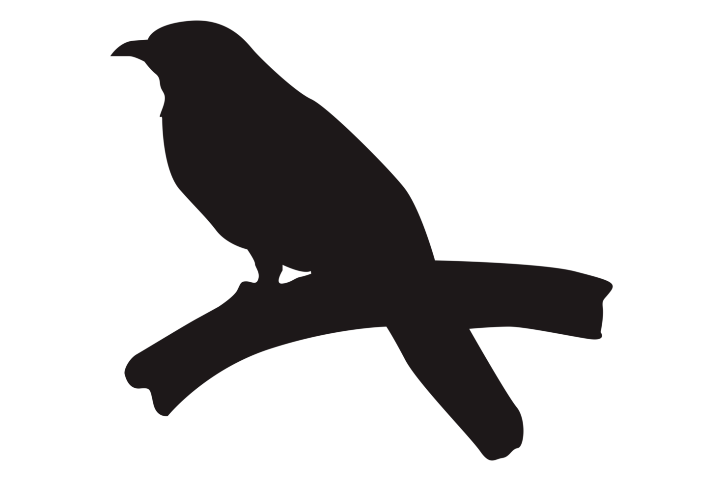 Perched Bird Silhouette On Transparent Background png