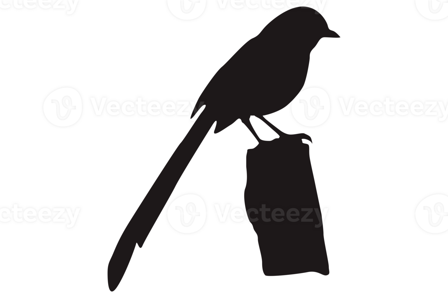 Perched Bird Silhouette On Transparent Background png