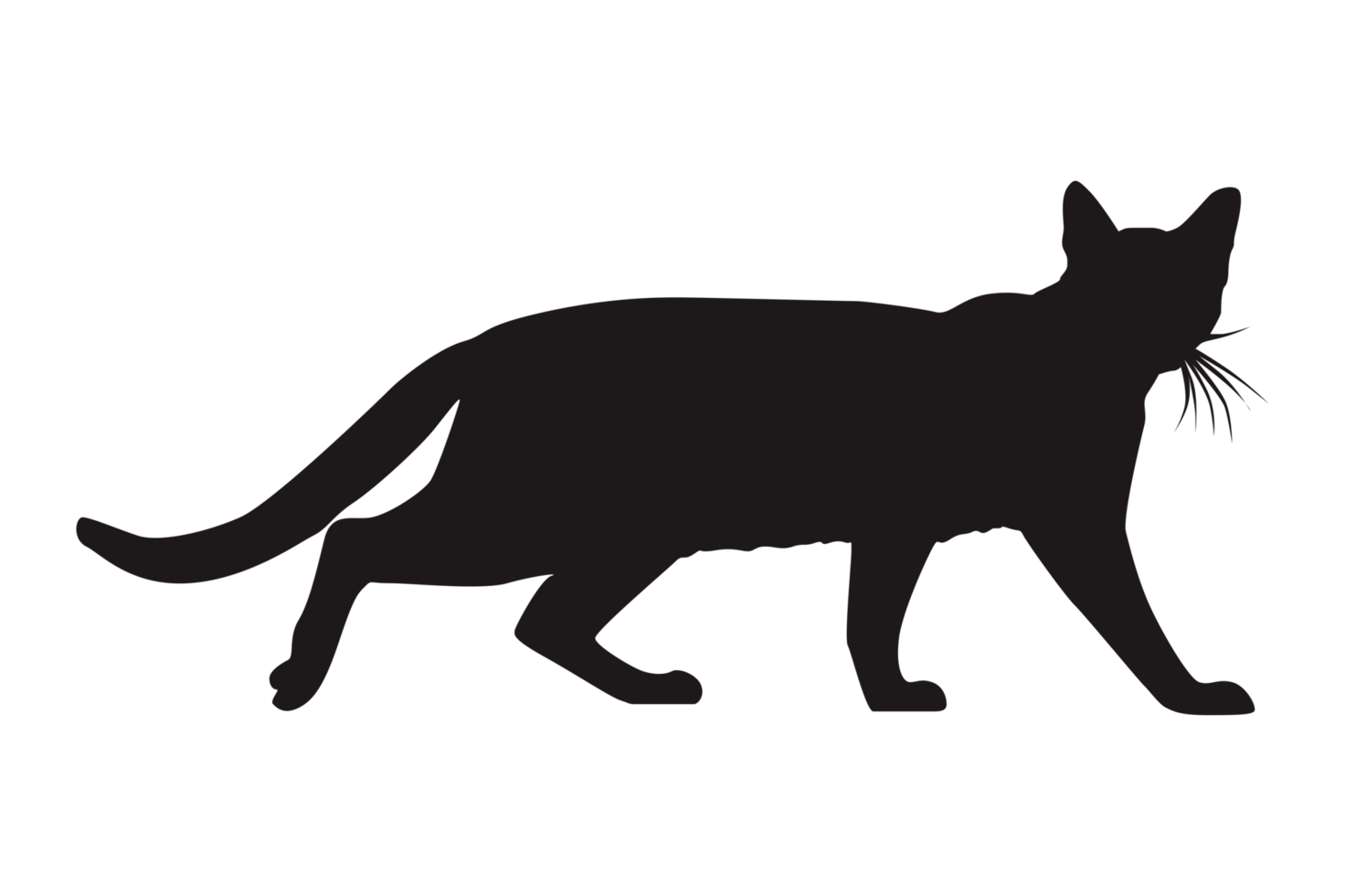 Cat Silhouette On Transparent Background png