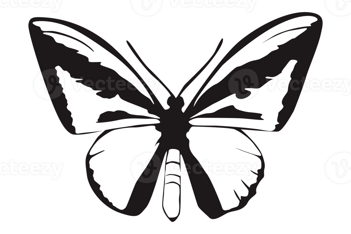 Black Butterfly On Transparent Background png