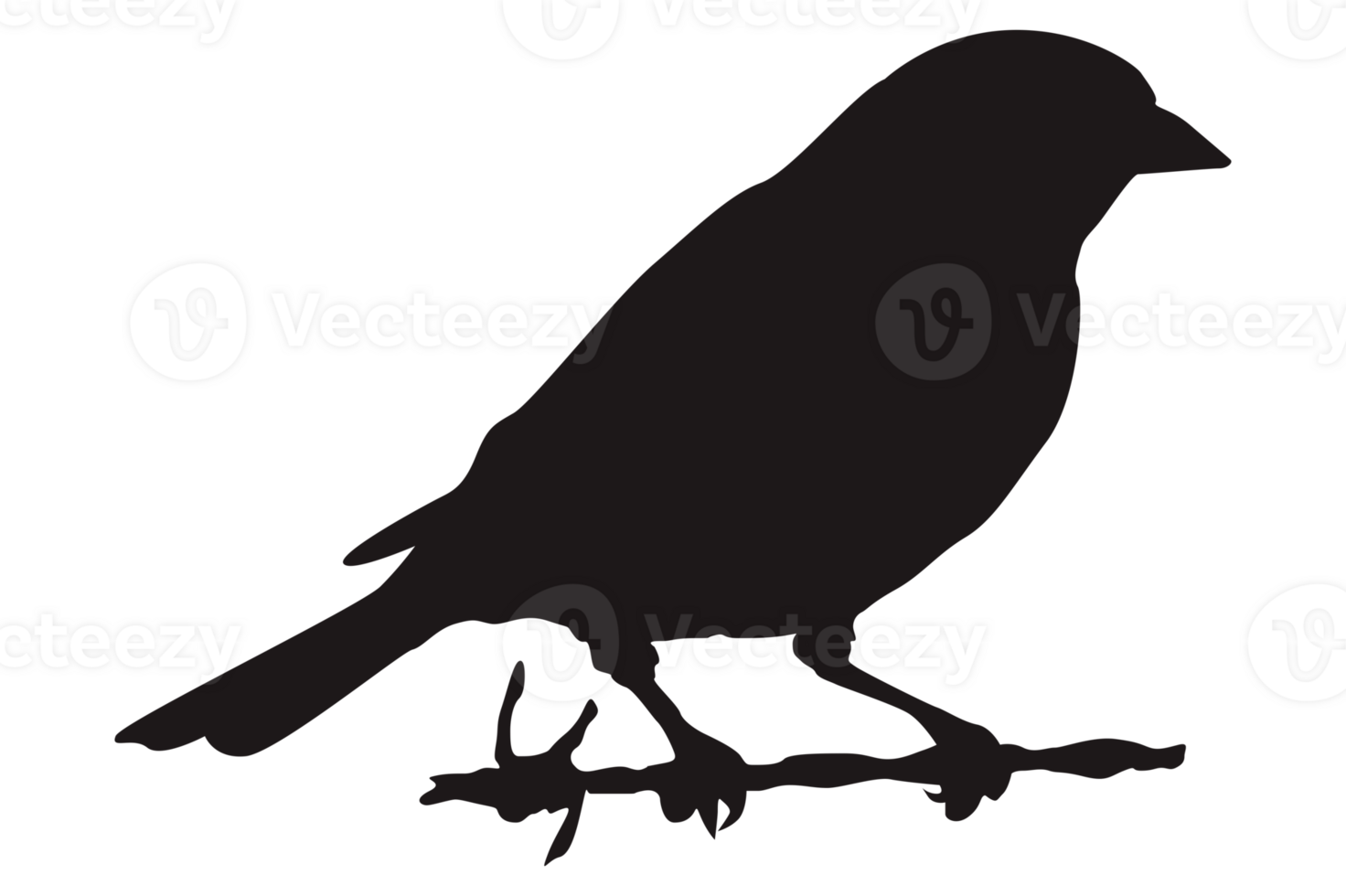Perched Bird Silhouette On Transparent Background png
