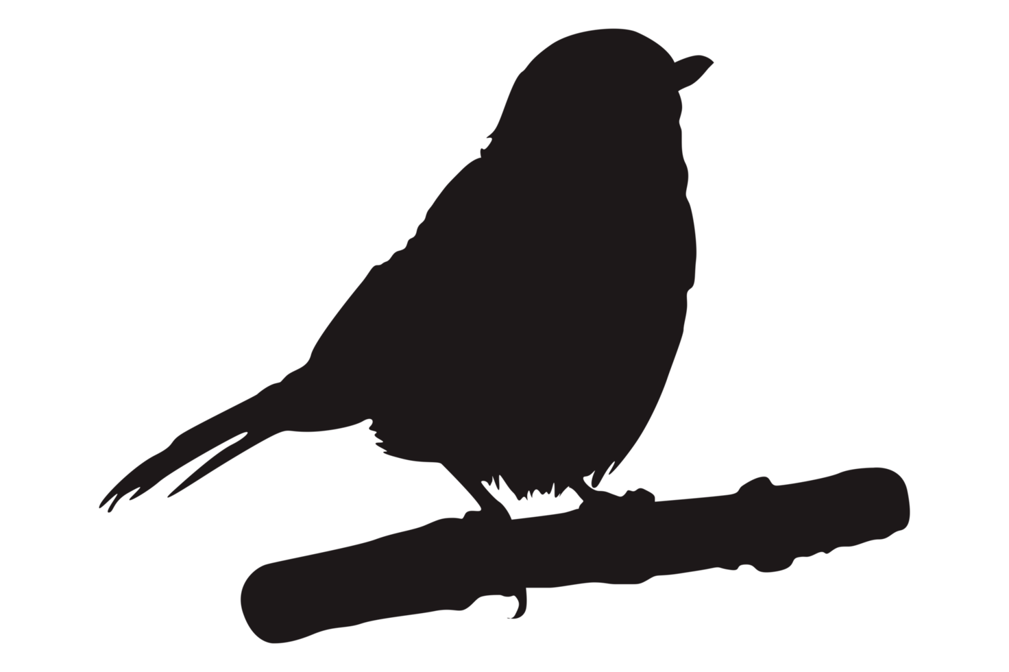 Perched Bird Silhouette On Transparent Background png