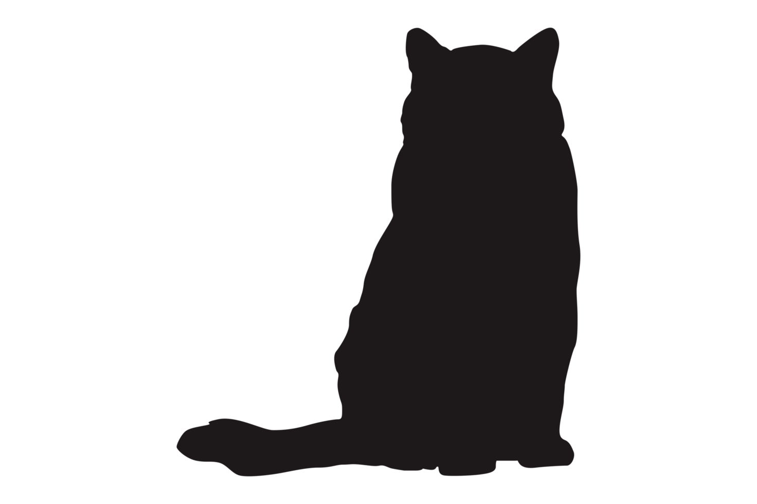 Cat Silhouette On Transparent Background png