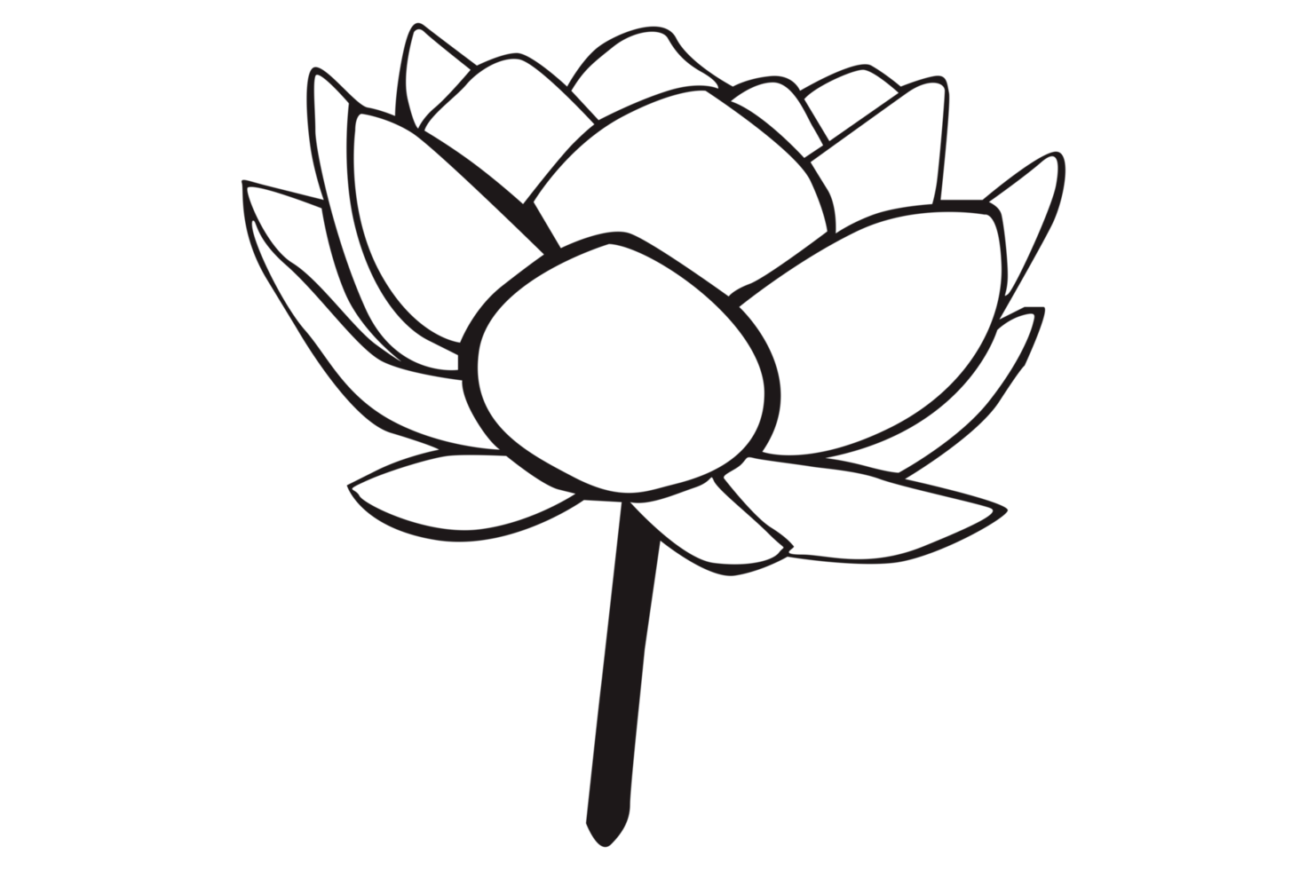 lotus bloem lijn kunst met transparant achtergrond png