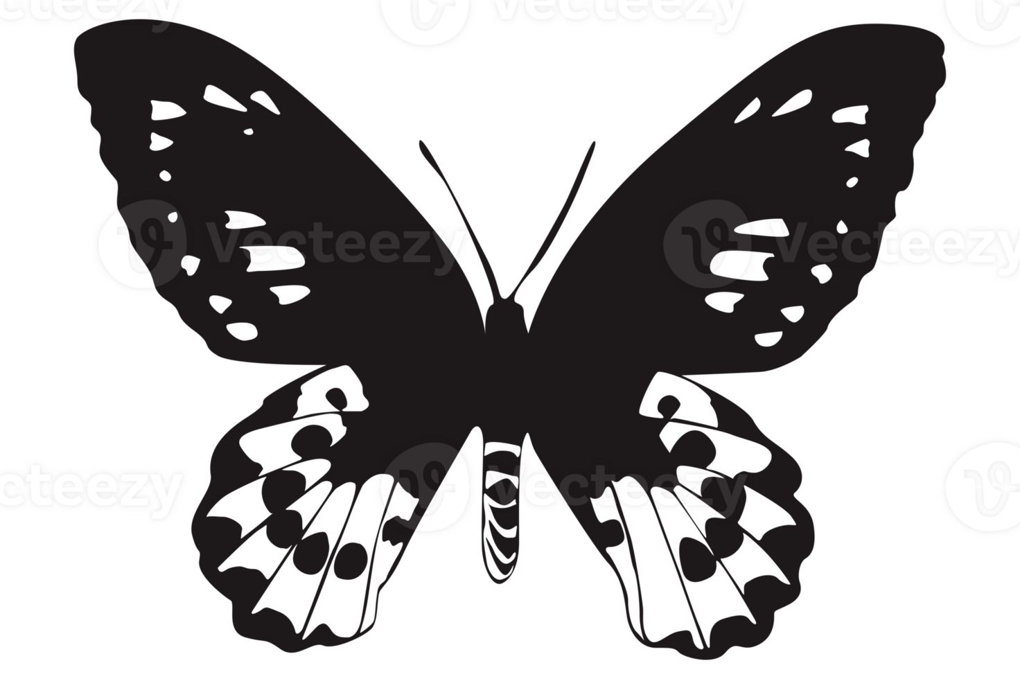 Black Butterfly On Transparent Background png