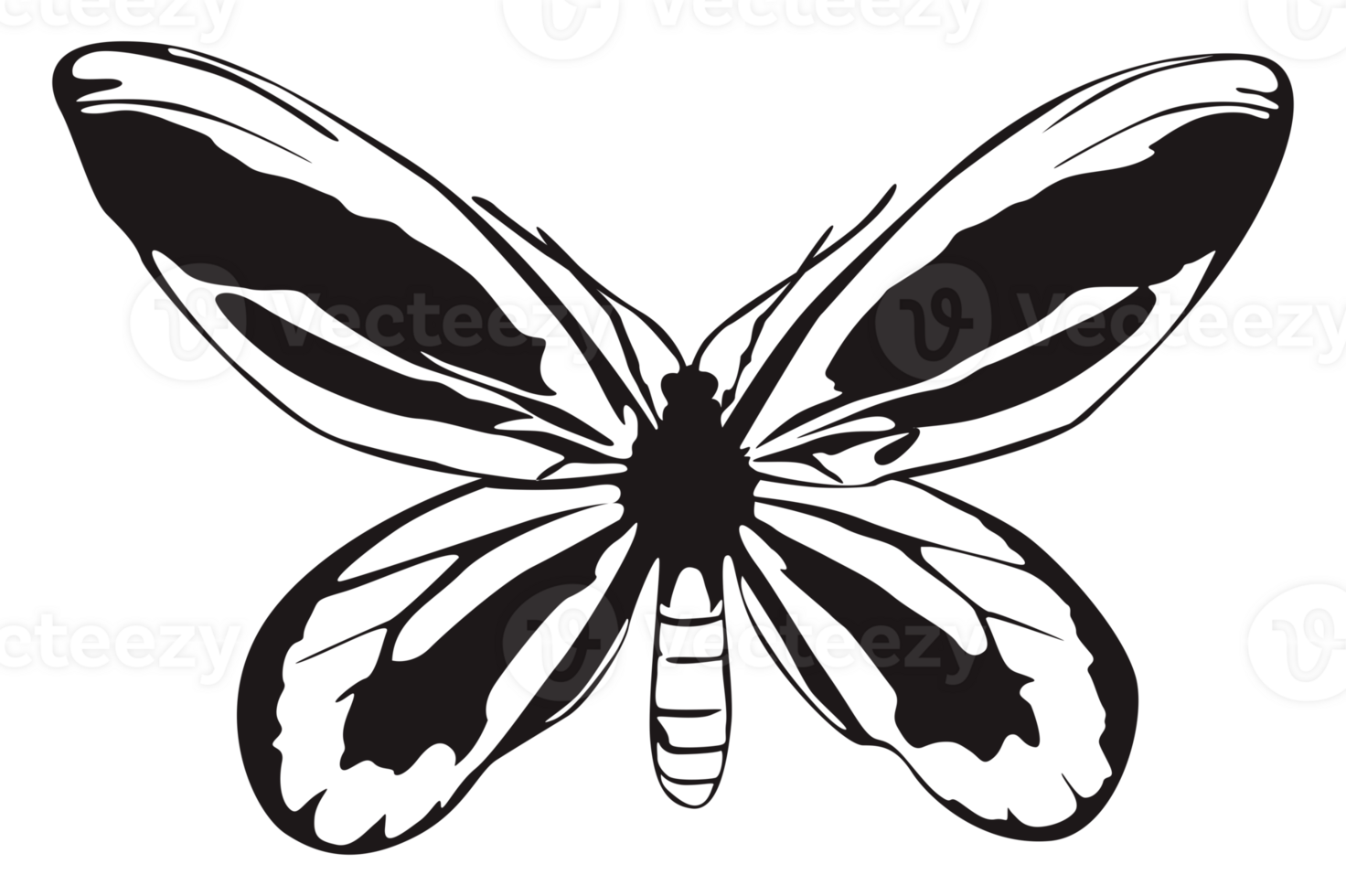 Black Butterfly On Transparent Background png