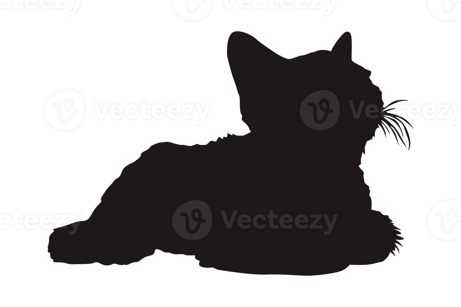 Cat Silhouette On Transparent Background png