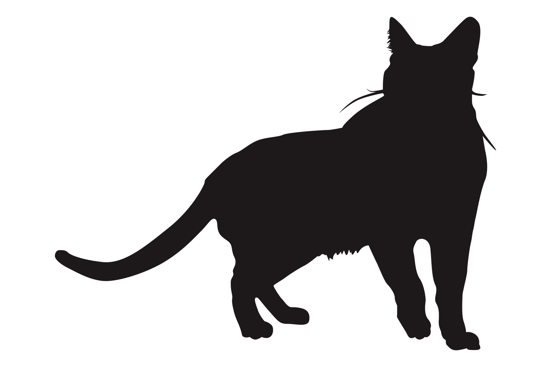 Cat siluette PNG transparent image download, size: 1600x1600px