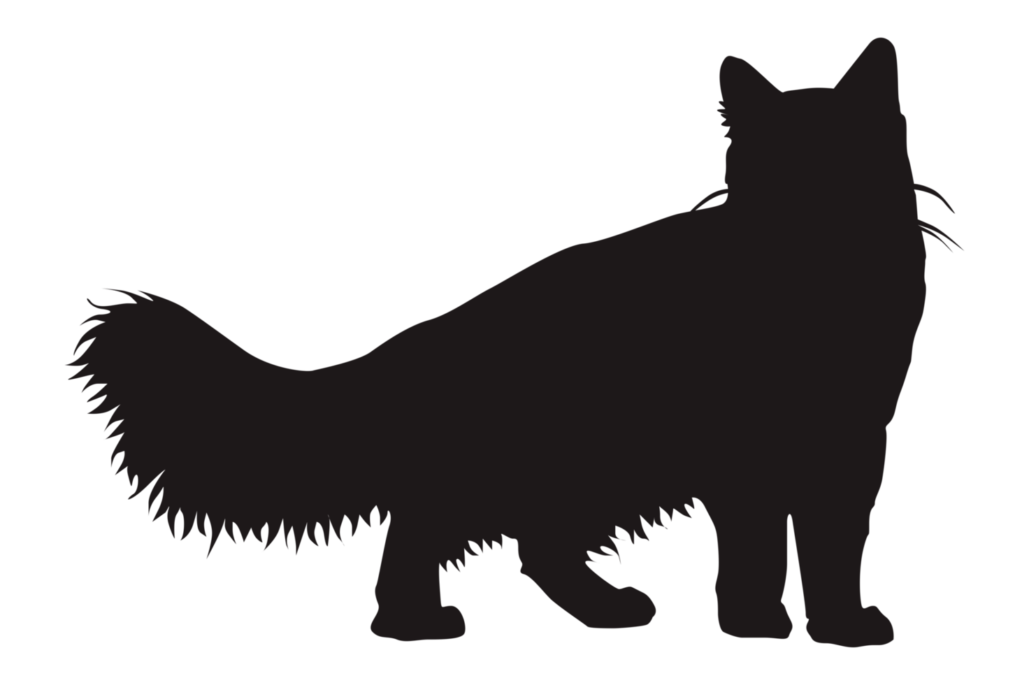 Cat Silhouette On Transparent Background png