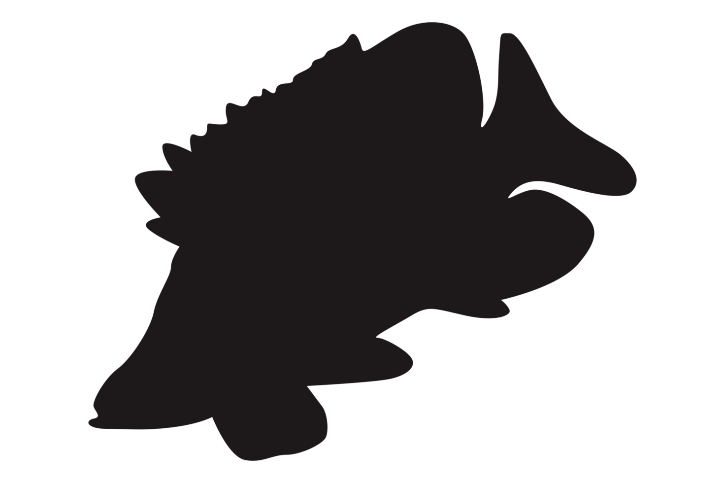 Sea Fish Silhouette On Transparent Background png