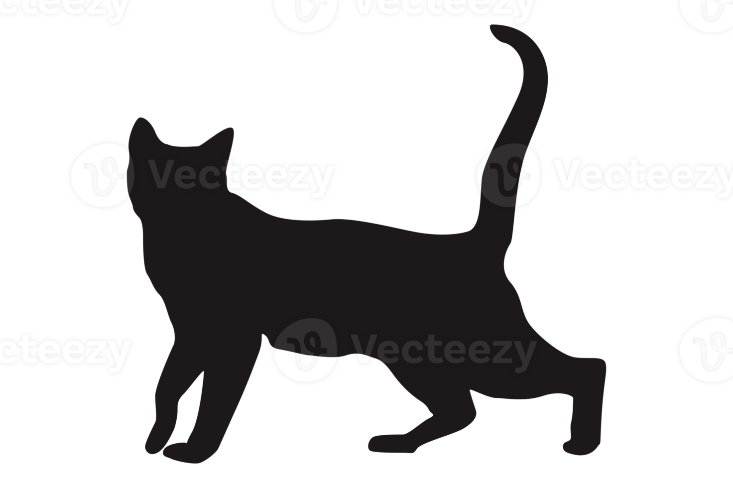 Cat Silhouette On Transparent Background png