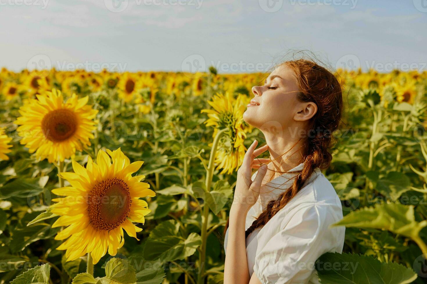 woman with closed eyes in a field of sunflowers with pigtails nature landscape photo