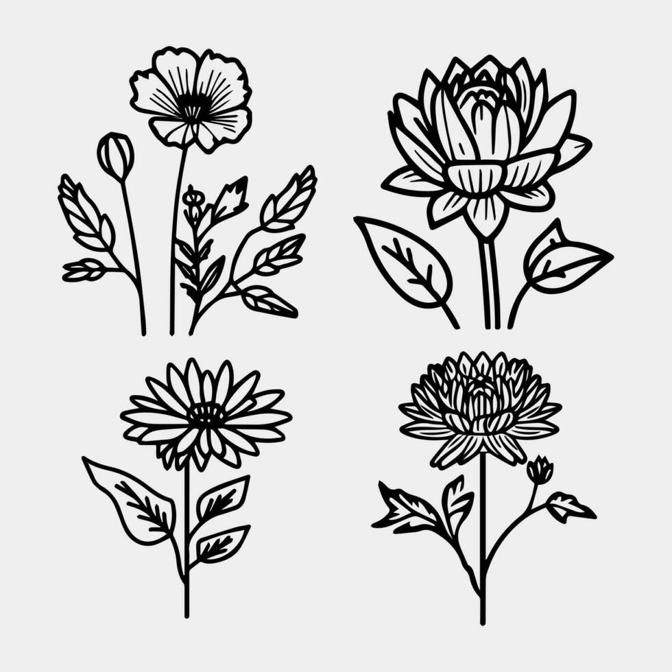 Water lily hand drawn set black and white vector