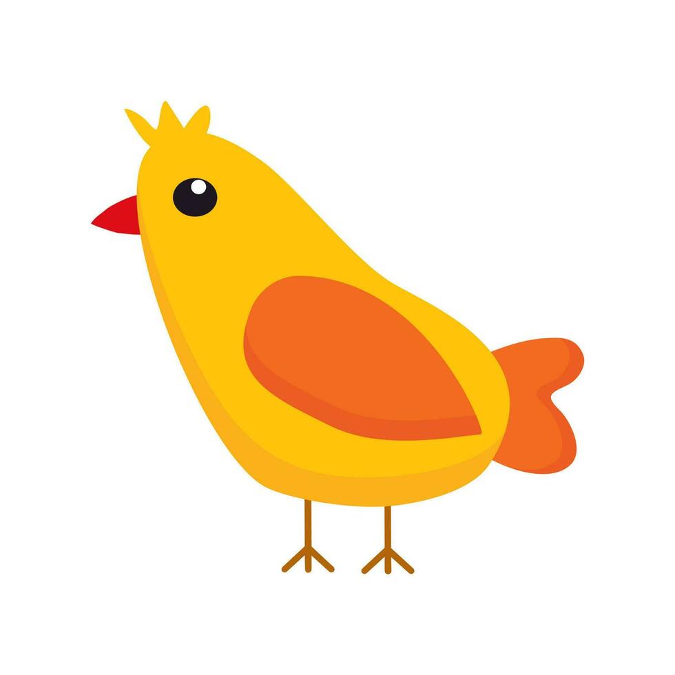 illustration of a chick on a white background vector