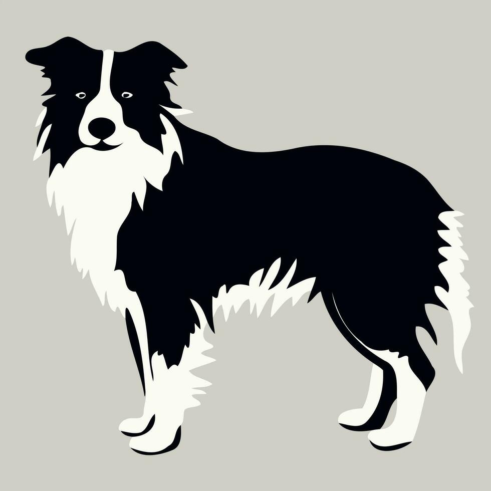 perro de el raza frontera collie silueta en negro y blanco vector