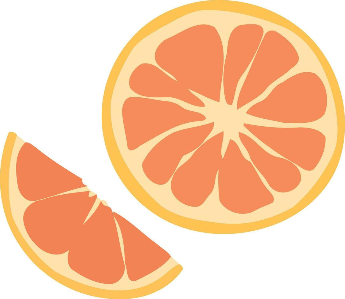 rebanado naranja agrios Fruta vector