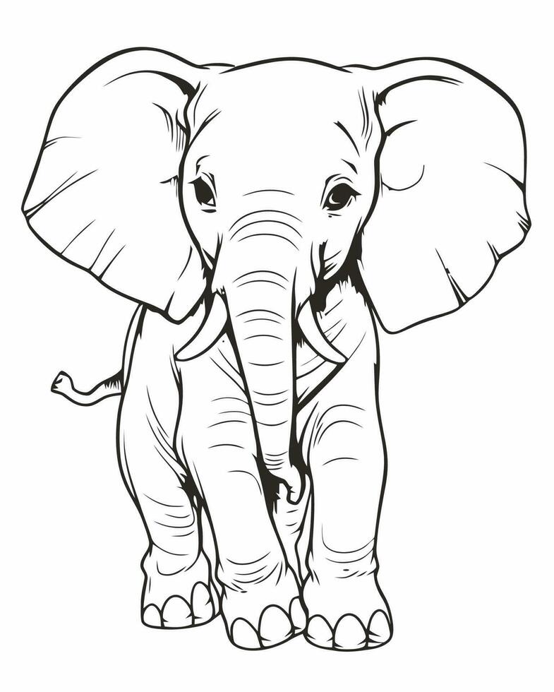 elephant coloring page vector