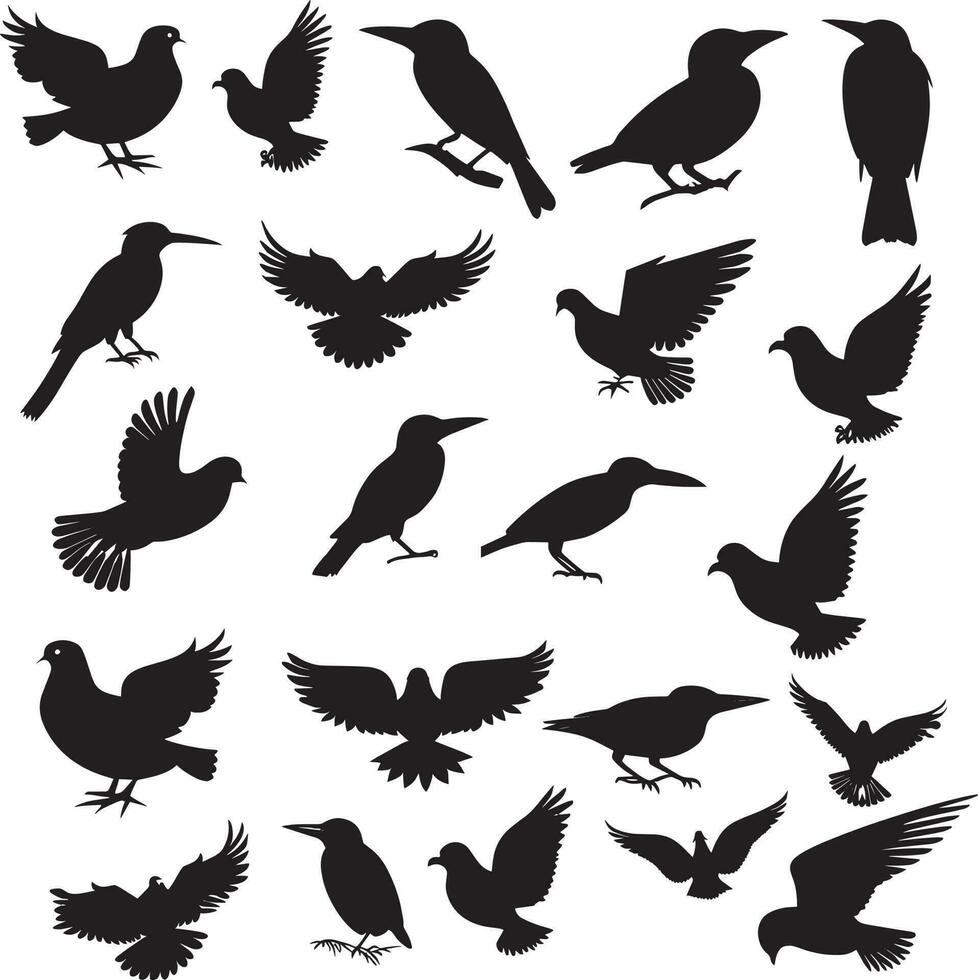 Different Types Of Birds Silhouette Vector. vector
