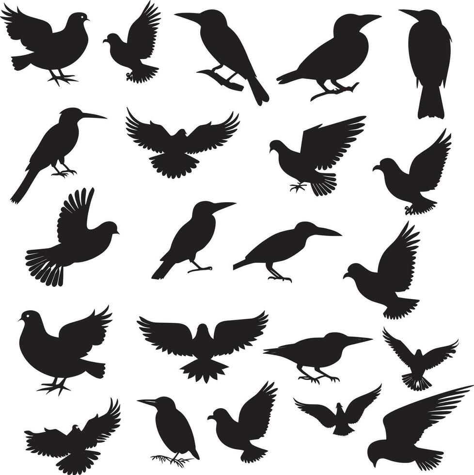 diferente tipos de aves silueta vector. vector