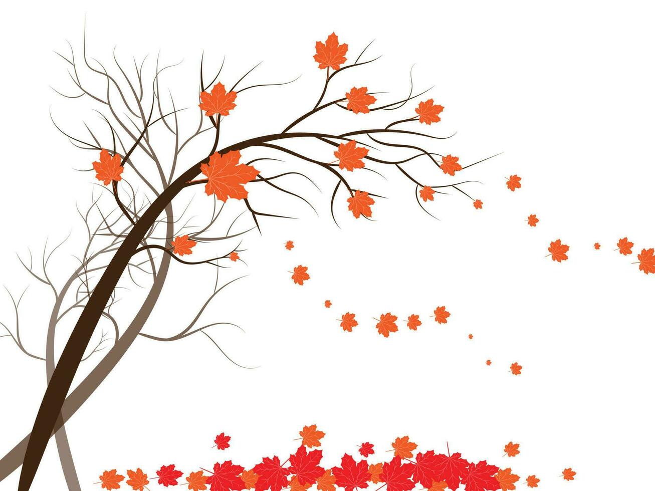 Big tree and leaves that is dry. Tree in the autumn season concept. vector