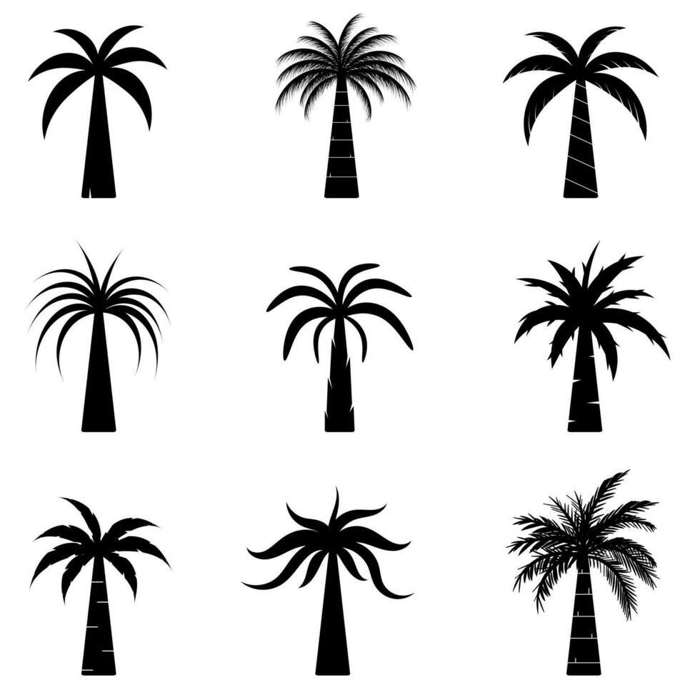 Collection of Black Coconut trees Icon. Can be used to illustrate any nature or healthy lifestyle topic. vector