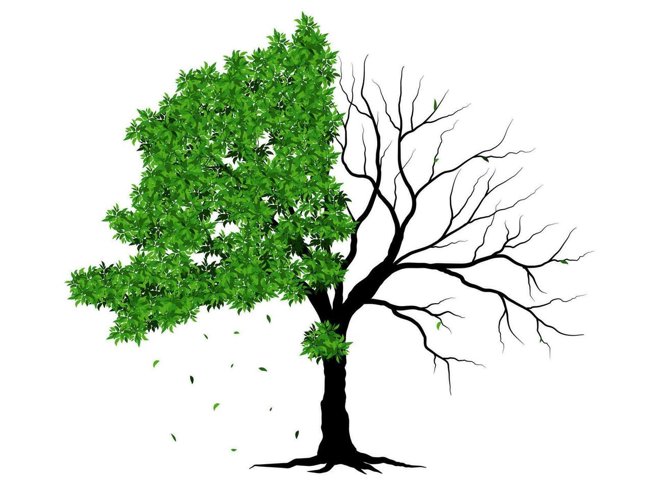 Tree and roots with green leaves look beautiful and refreshing. Tree and roots LOGO style. vector