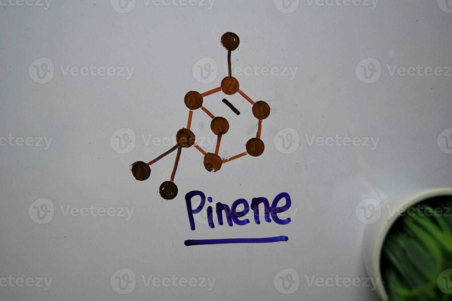 Pinene is a bicyclic molecule write on the white board. Structural chemical formula. Education concept photo