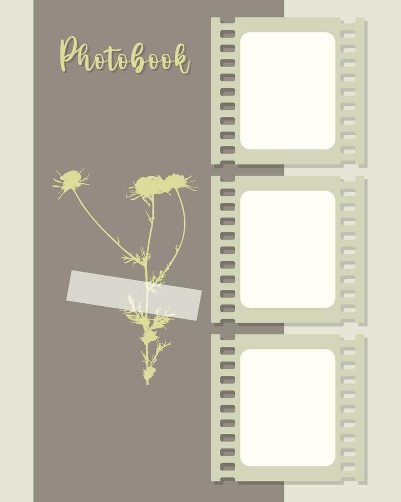 Photo books template collage vintage background in grunge style. Camomile herbal. vector