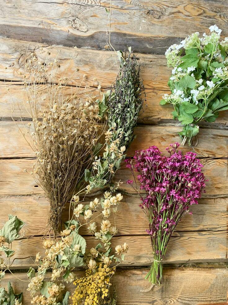 seco medicinal flores y hierbas en de madera antecedentes. estudio foto