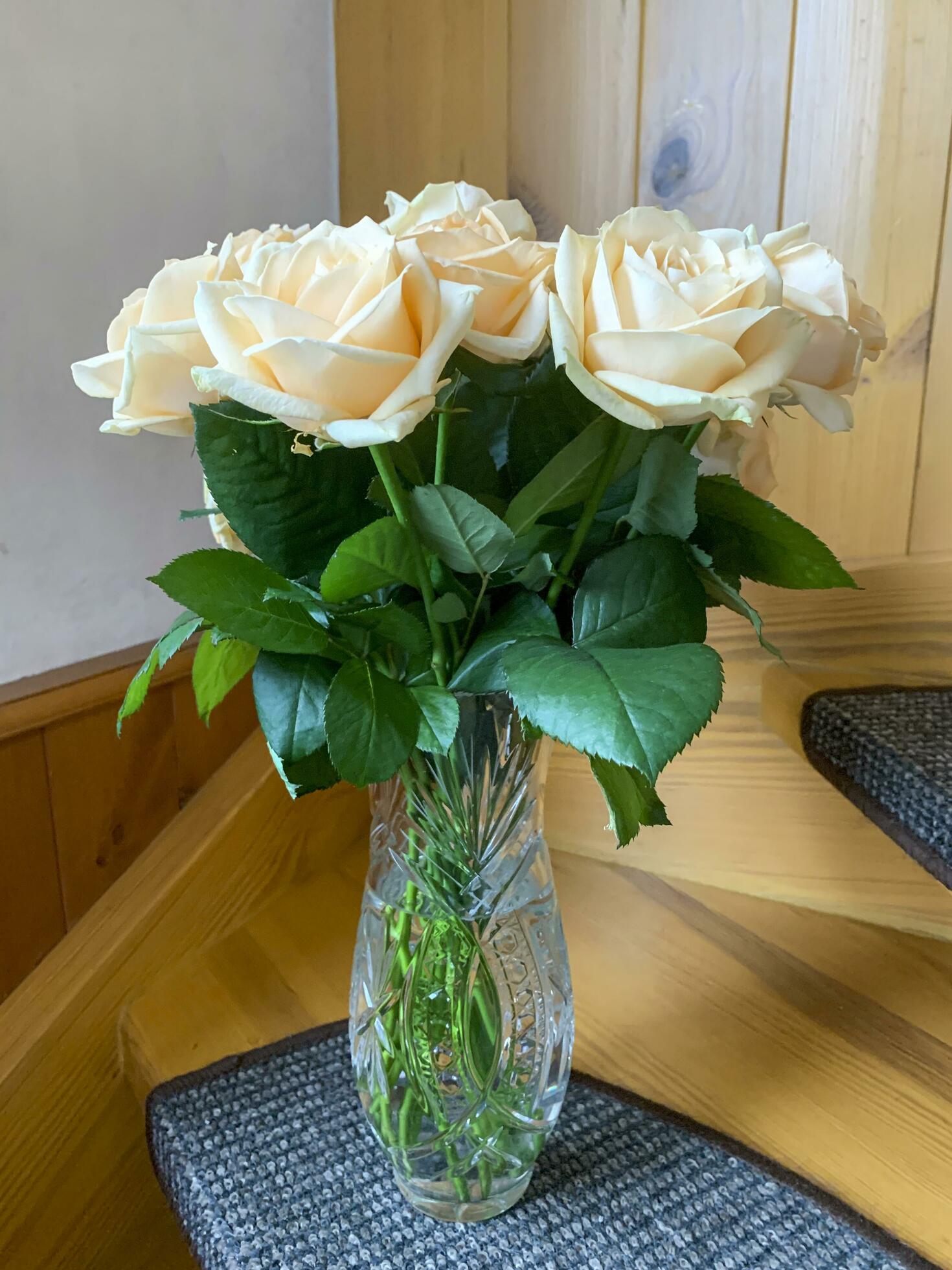 Bouquet of fresh roses in crystal vase. Studio Photo 23635380 Stock