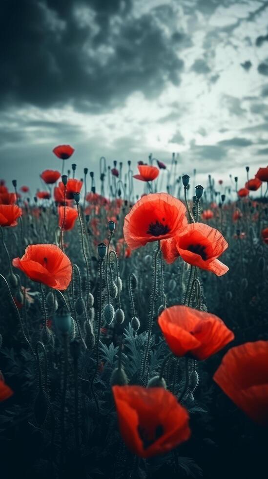 Poppy flower background for Anzac day. Illustration photo