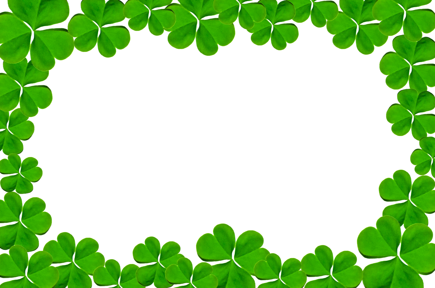 Frame of green leaves and flower. Wallpaper by green leaves and beautiful green leaf. png