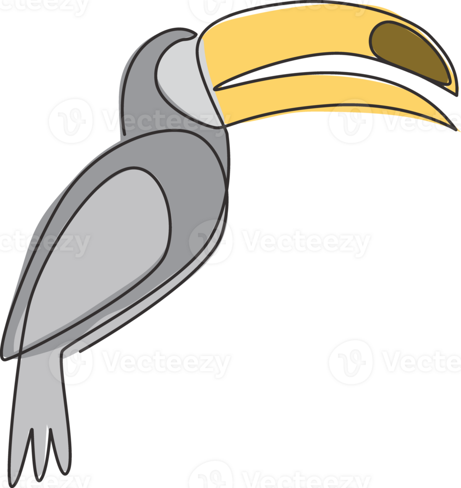 One continuous line drawing of cute toucan bird with big beak for logo identity. Exotic animal mascot concept for national conservation park icon. Single line draw graphic design illustration png