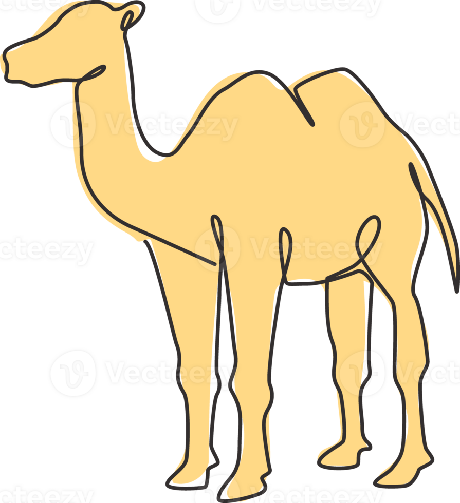 One continuous line drawing of Arabian desert camel for livestock business logo identity. Dromedary animal concept for middle east countries zoo icon. Single line draw design illustration png