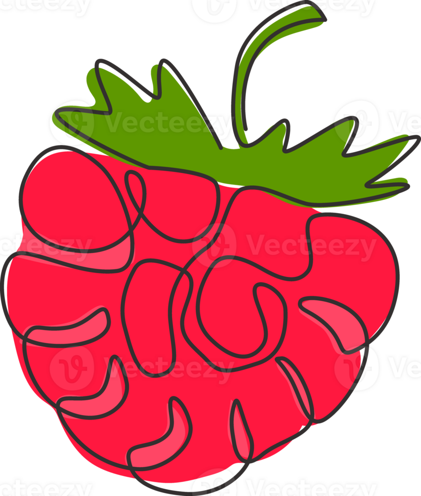 One continuous line drawing of whole healthy organic raspberry for orchard logo identity. Fresh berry fruitage concept for fruit garden icon. Modern single line draw design graphic illustration png