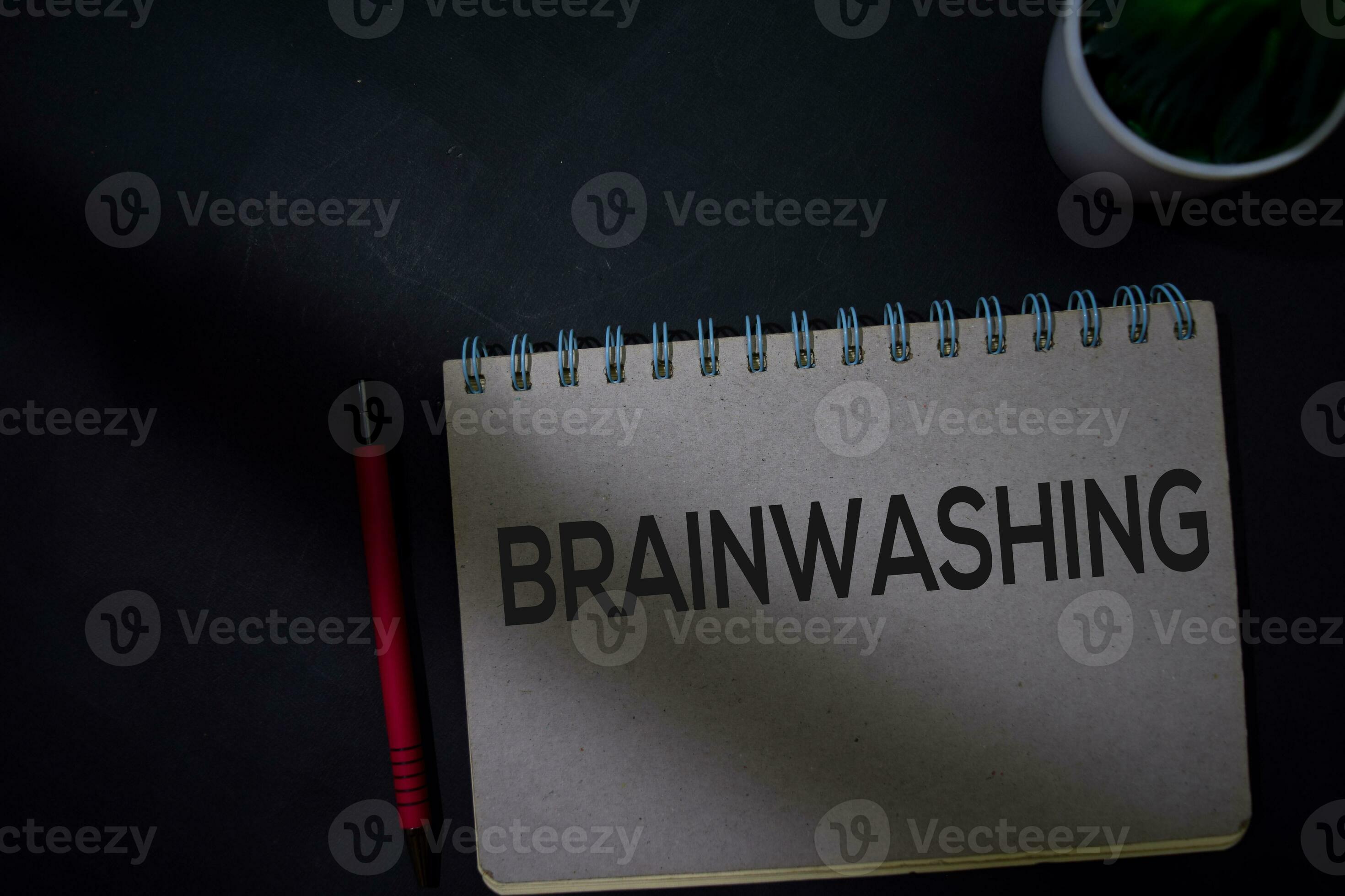 lavado del cerebro escribir en un libro aislado en oficina escritorio