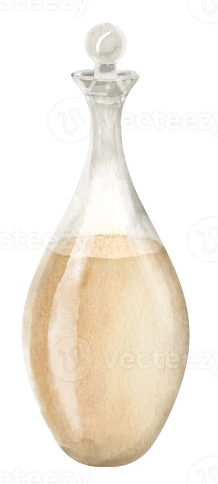Glass Decanter. Hand drawn watercolor illustration of transparent Carafe on isolated background for essential or olive oil. Drawing of bottle or flacon with liquid for aromatherapy. Sketch of flagon. png