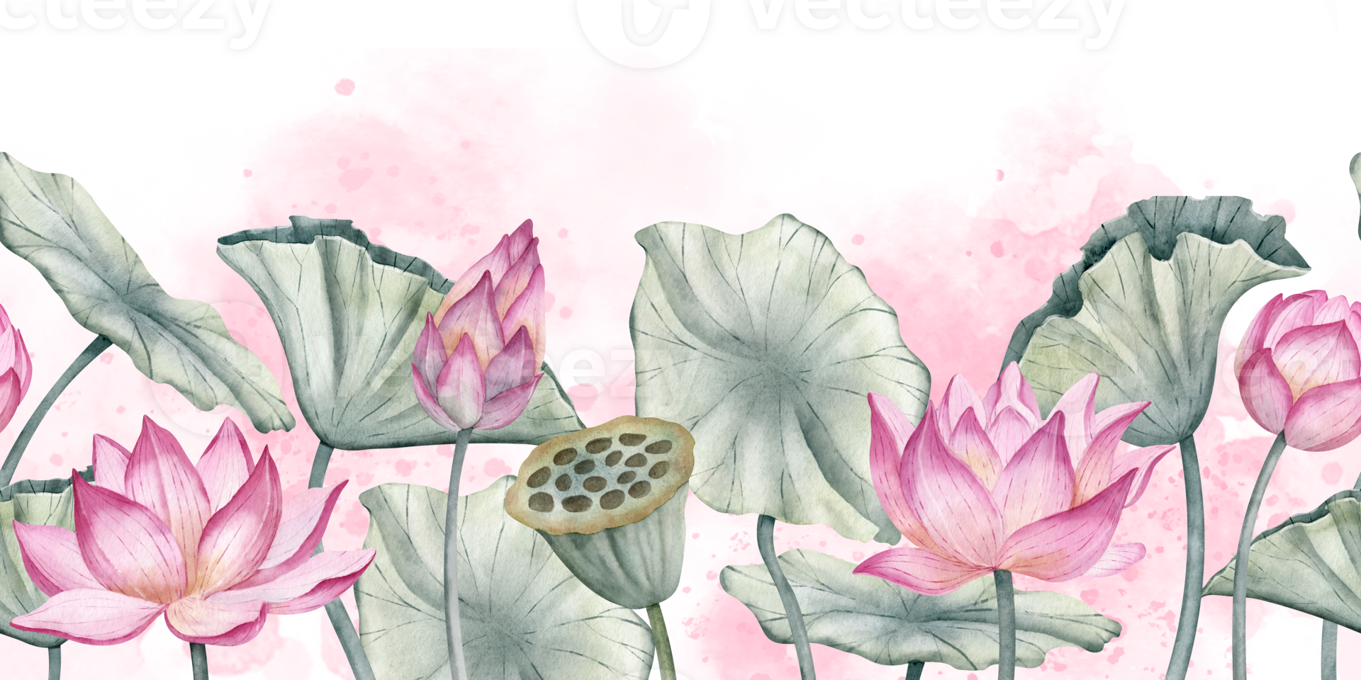 loto flor sin costura borde. mano dibujado acuarela ilustración de agua lirio rosado plantas en aislado antecedentes. floral modelo para marco o spa zen bandera. dibujo de agua lirio con verde hojas. png