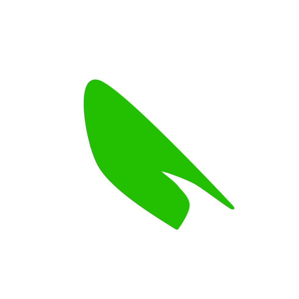 icona foglia verde png