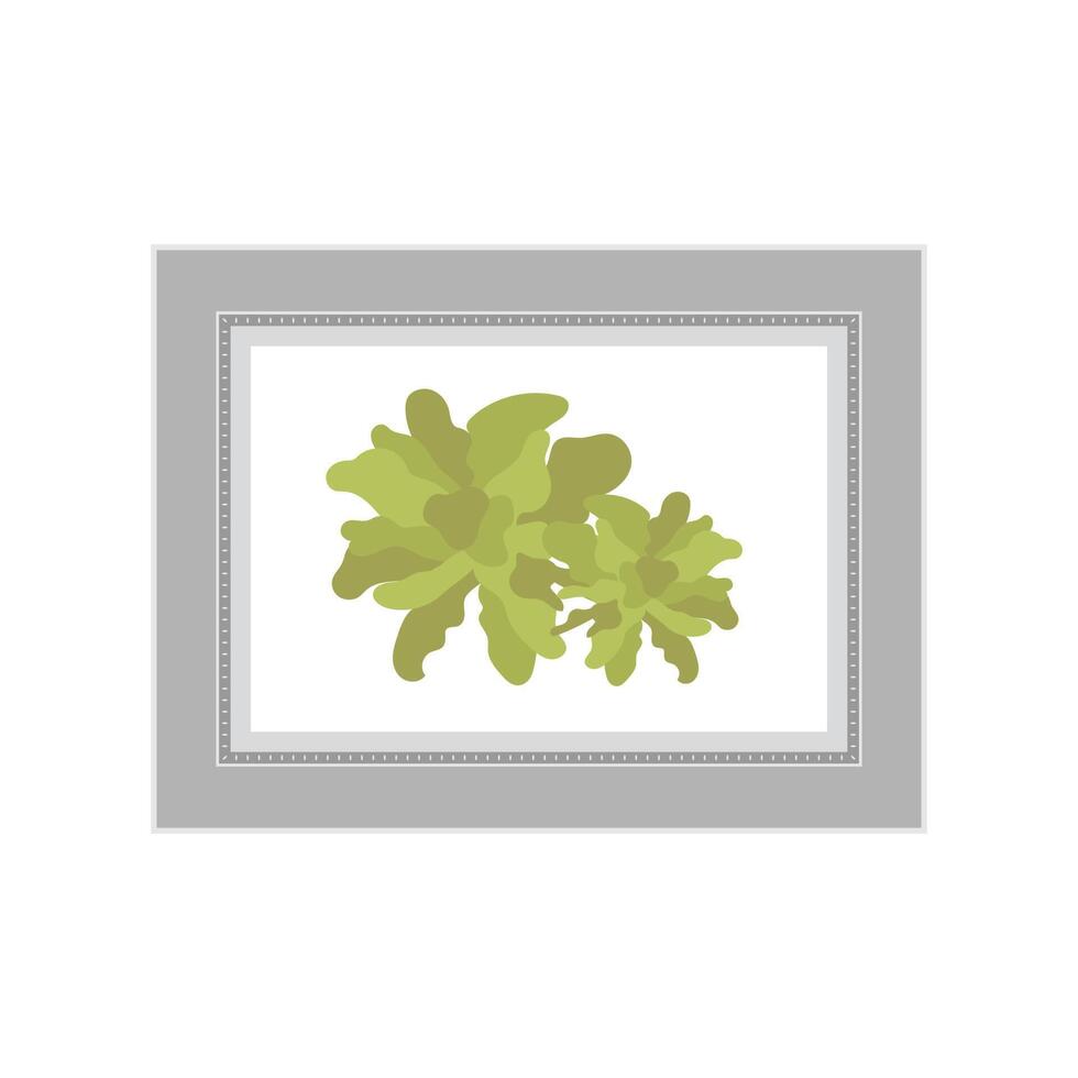 Picture with gray frames and with a non-flowering plant. Isolated. Flat style. vector