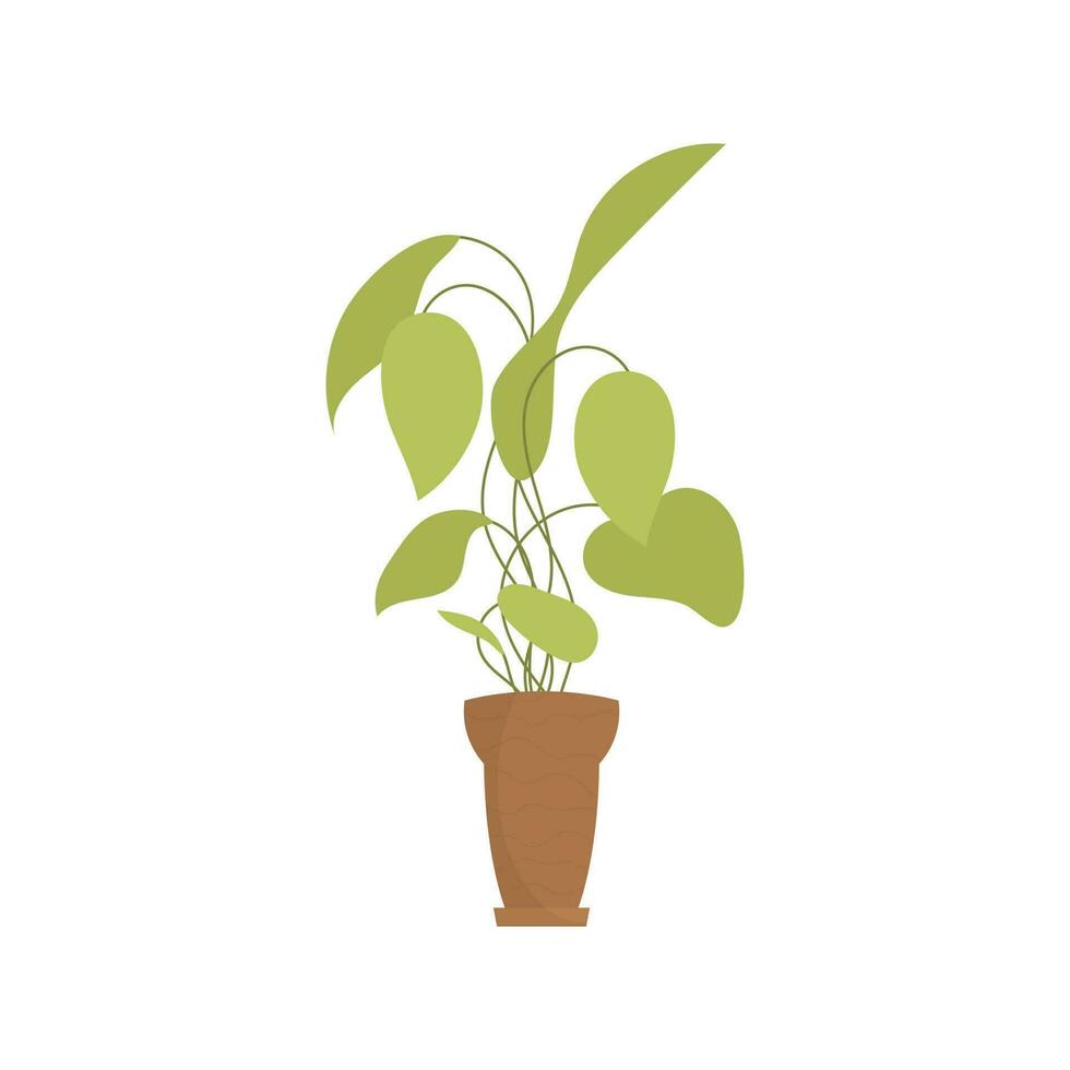 Office plant in a brown pot. Isolated. Flat style. vector