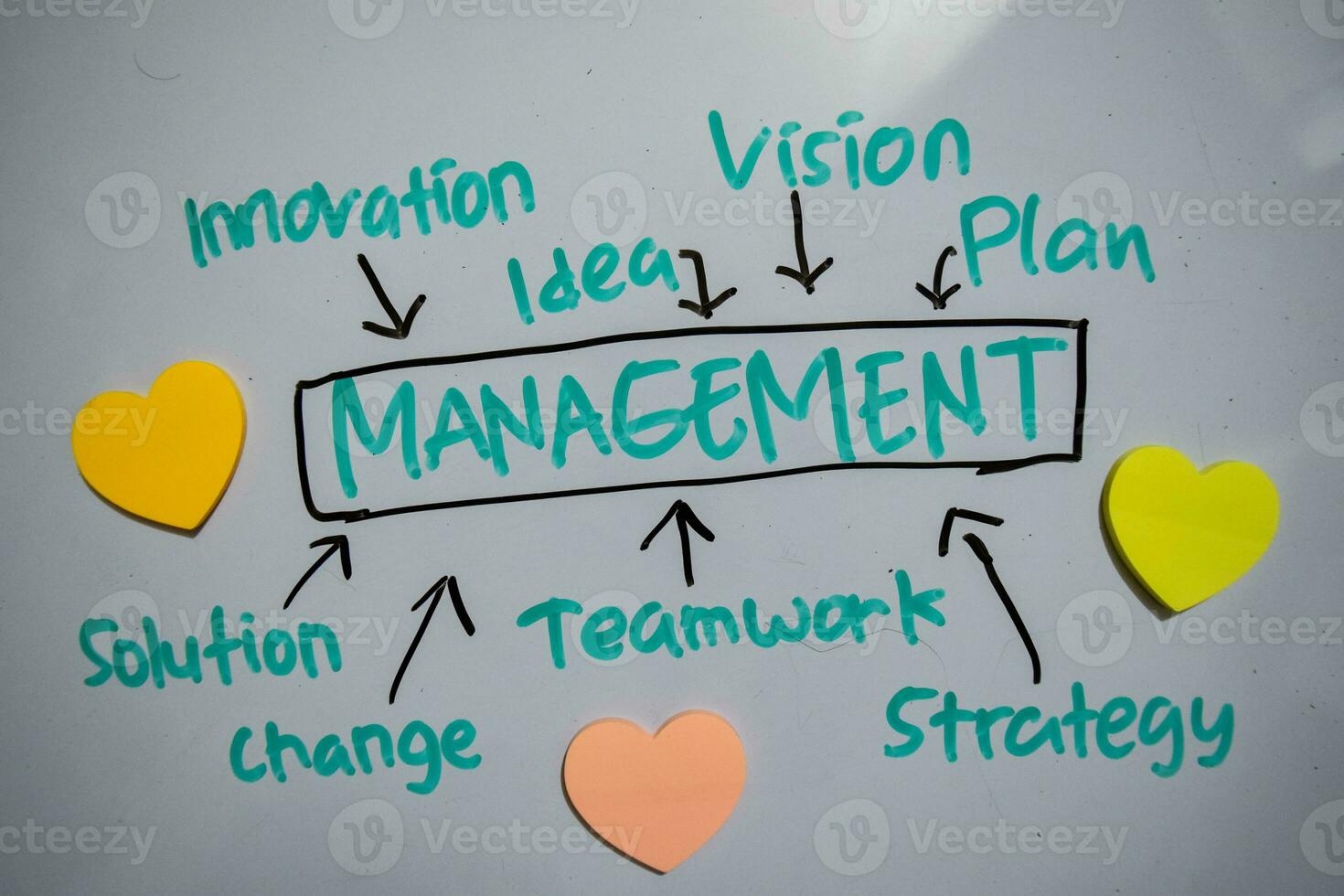 Management text with keywords isolated on white board background. Chart or mechanism concept. photo