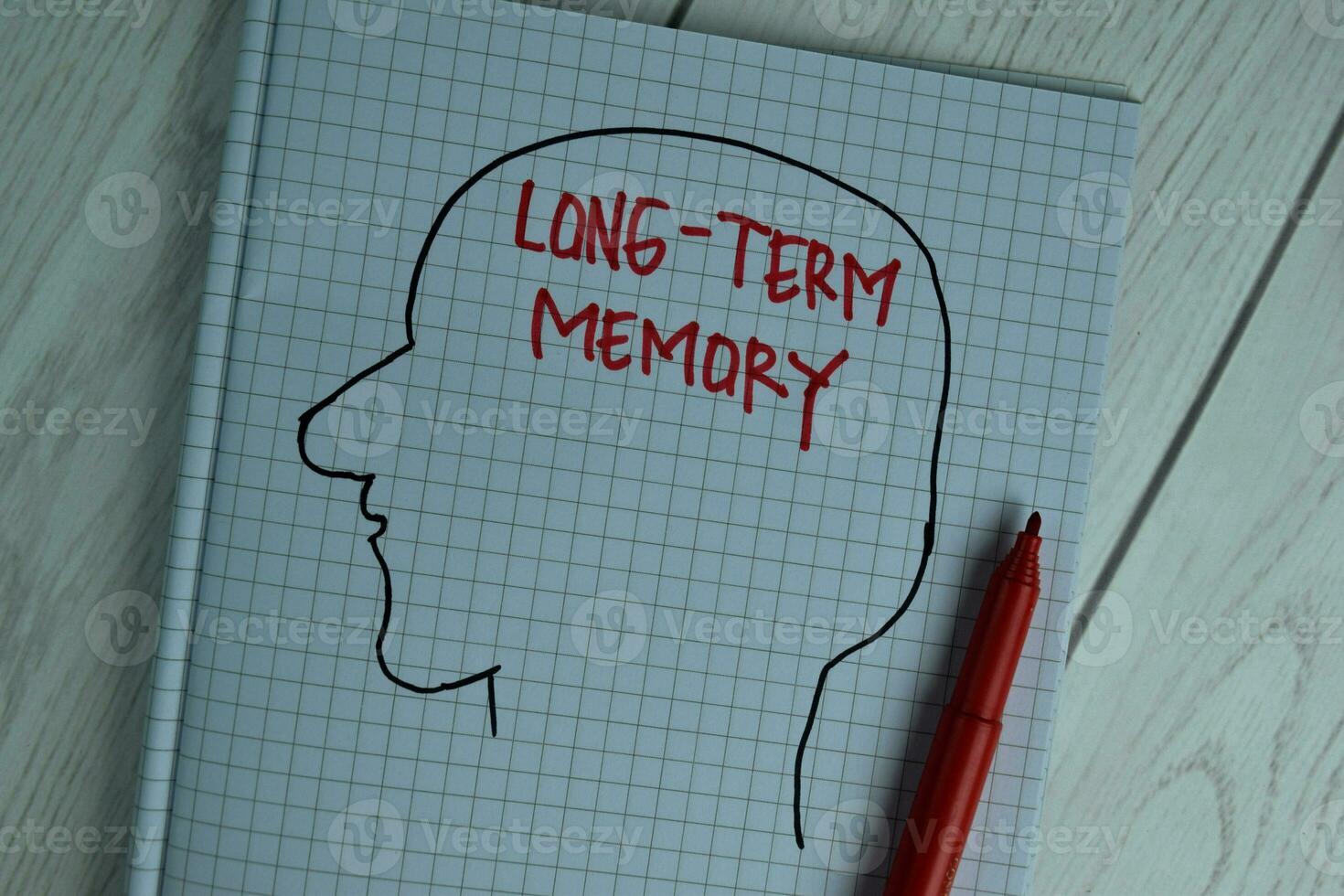 Long-Term Memory write on a book isolated on office desk. photo