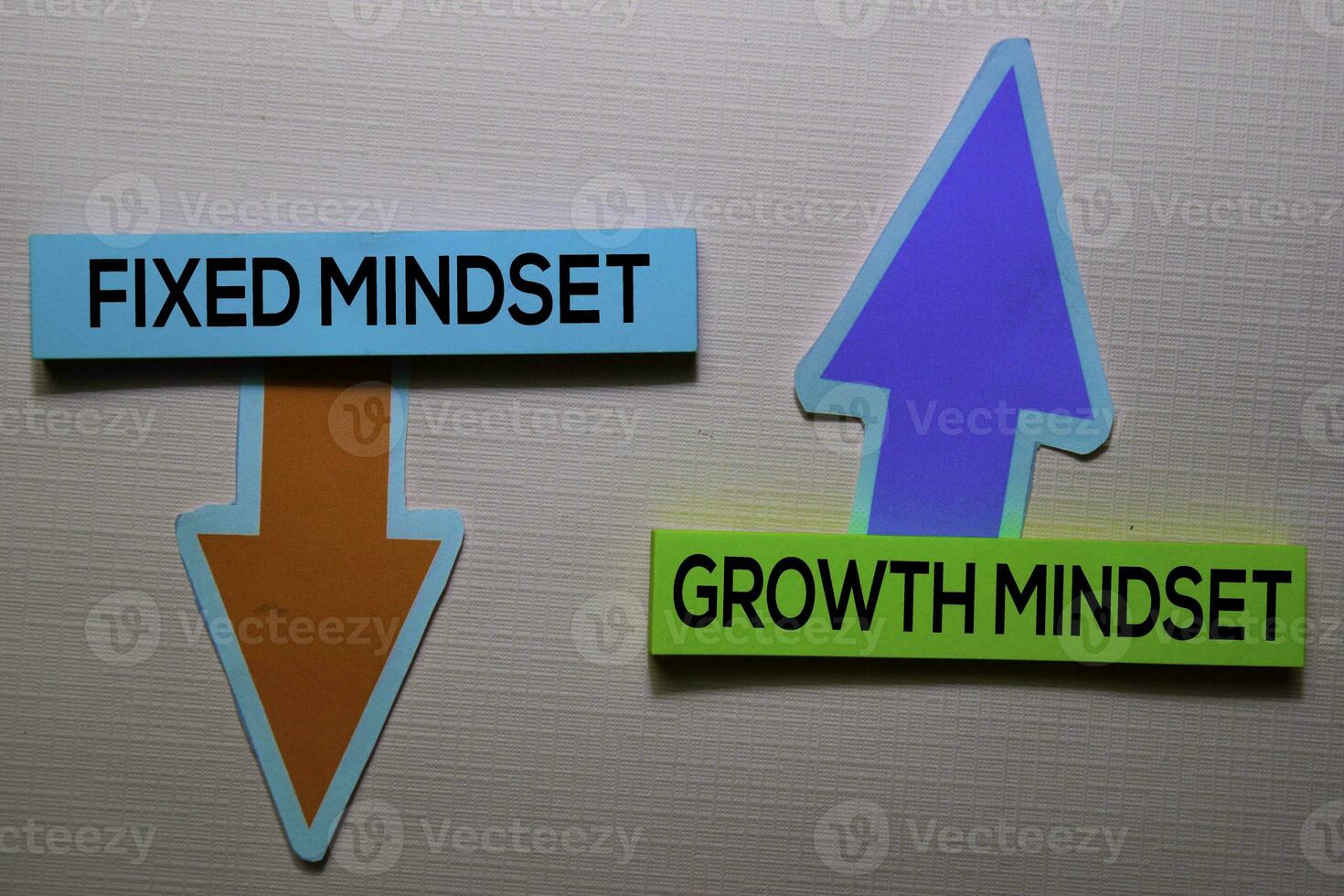 Fixed Mindset and Growth Mindset text on sticky notes isolated on office desk photo