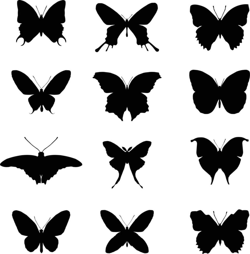 conjunto de diferente mariposas silueta vector ilustración
