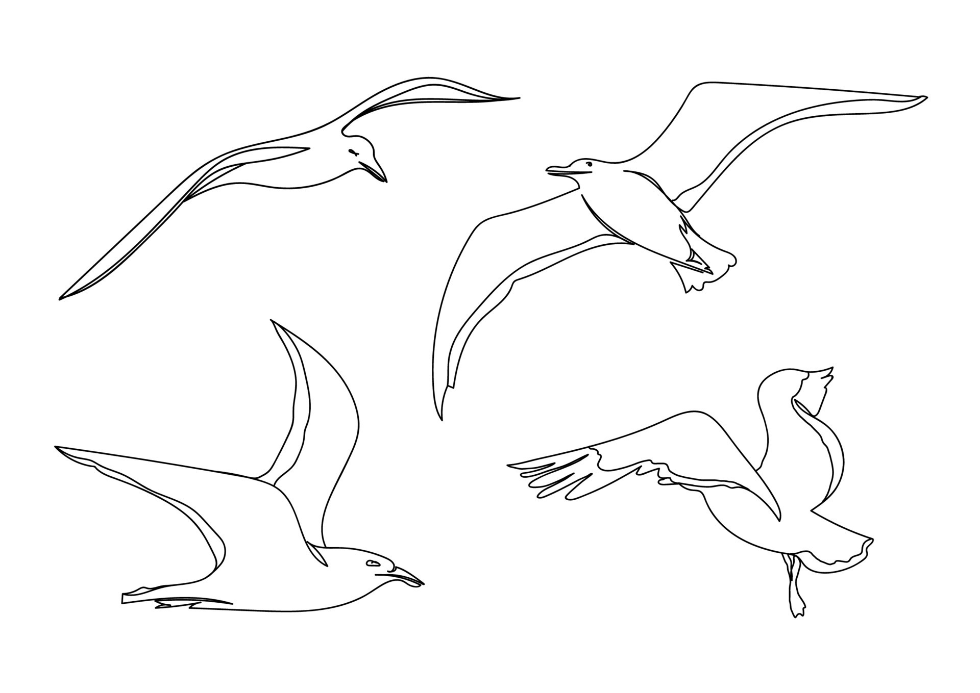 One line seagull hand drawn set. Hand drawn minimalism style vector ...