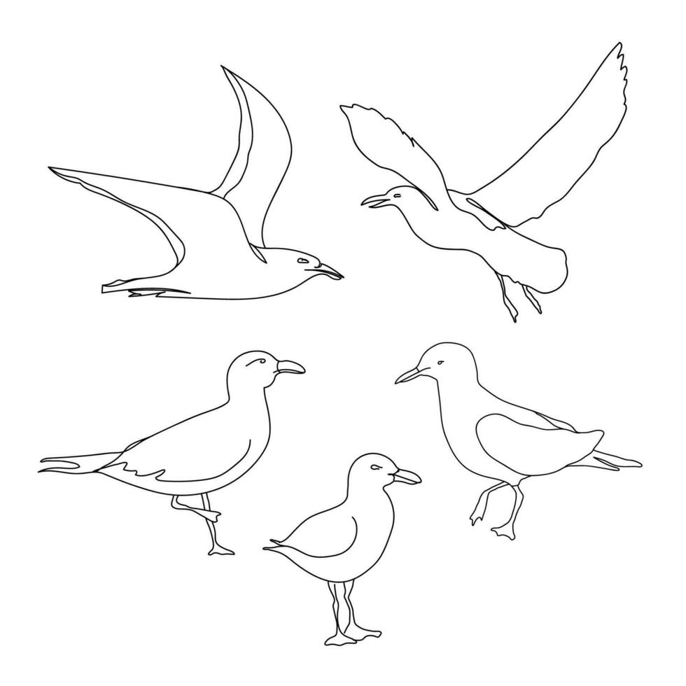 One line seagull hand drawn set. Hand drawn minimalism style vector illustration. Outline seagull flying. Beautiful sea life design elements.