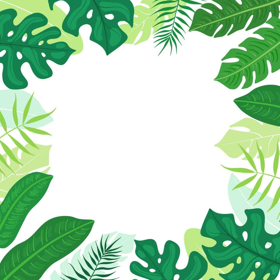 Summer frame made of tropical leaves. Background of tropical palm leaves, monsters isolated on a white background. Illustration for the design of wedding invitations, greeting cards, postcards. vector