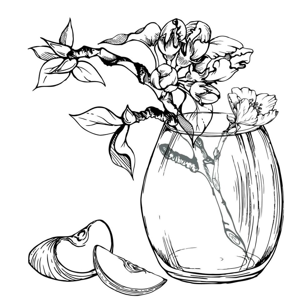 Hand drawn ink composition with apple flowers on branch with leaves and glass bottle. Isolated on white background. Design for wall art, wedding, print, fabric, cover, card, invitation. vector