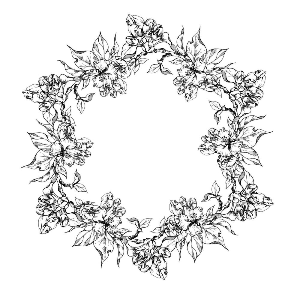 Hand drawn ink apple flowers, branches and leaves, monochrome vector, detailed outline blossom. Circle round wreath. Isolated on white background. Design for wall art, wedding, print, fabric, card. vector